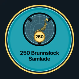 250 brunnslock samlade