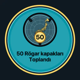 50 rögar kapağı toplandı