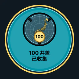 收集 100 个井盖